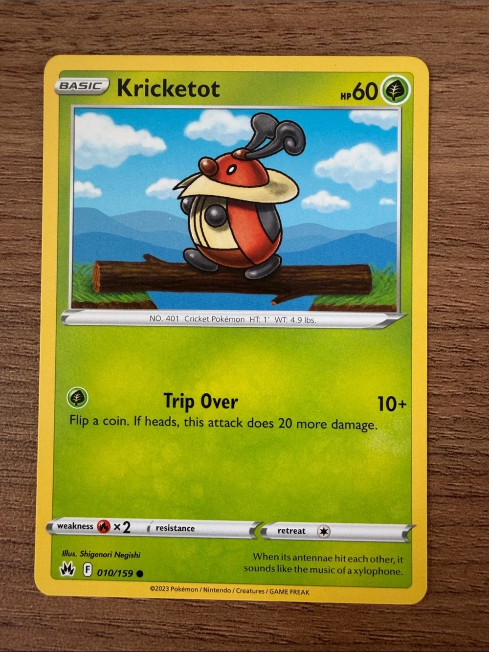 🕷️ Spider & Bug Pokémon Card Lot | Joltik Galvantula Ariados Spinarak ✨5/$25✨